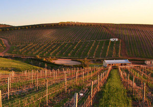 The Hemel-en-Aarde Valley